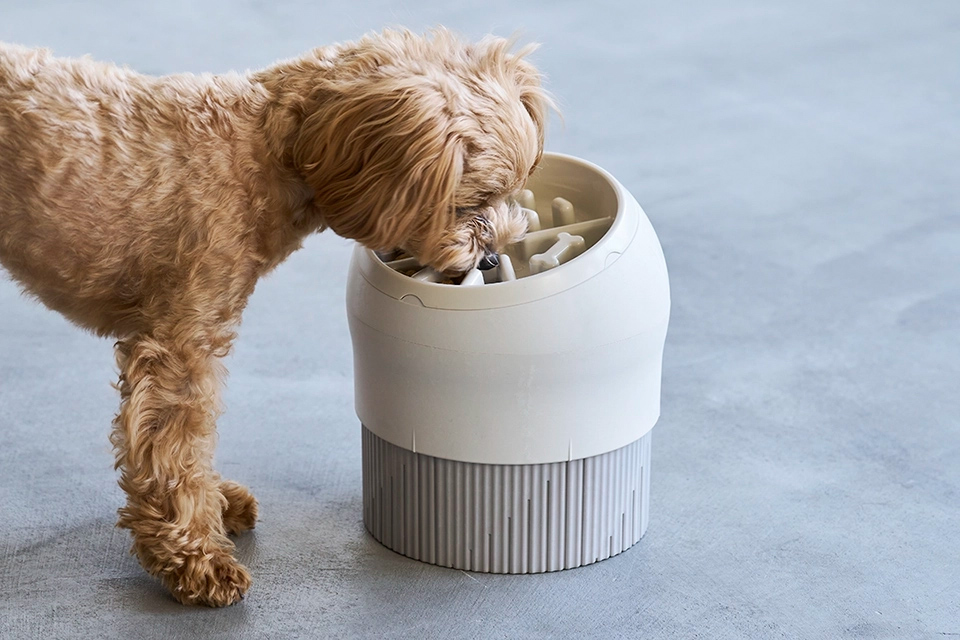 犬の種類や成長、体調に合わせて可変するペット用食器「 LaLa Dish 」、2022年