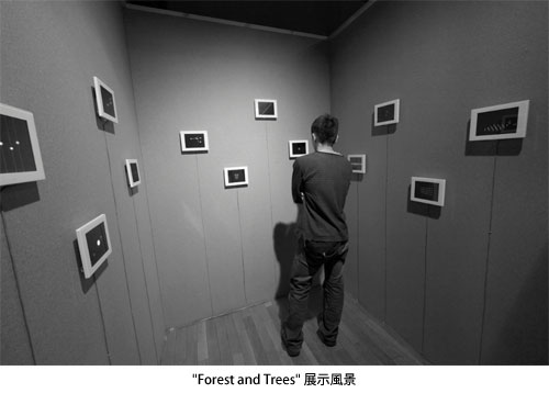 "Forest and Trees" 展示風景