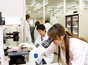 医薬品コース 医薬品コース