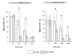 図2：生理的濃度のVCは細胞死を促進