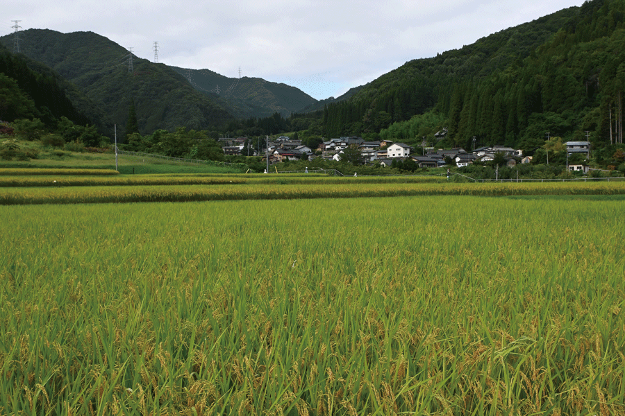 須坂市仁礼地区の風景