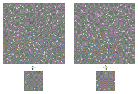 輪郭に対して大域的な図の向きと局所的な図の向きが同じ場合（左）と相反する場合（右）の輪郭知覚のし易さの相違。右は知覚困難。
