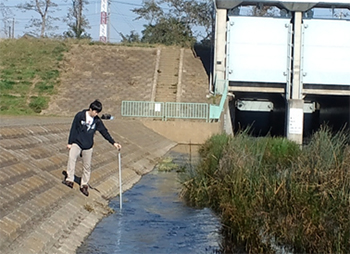 多摩川へ流入する水路での現場調査(昭島市付近)